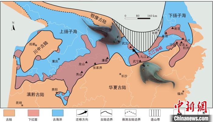 華南地區(qū)志留紀早期古地理圖和盔甲魚類化石產(chǎn)地(山顯任改自陳旭、戎嘉余，1996；戎嘉余等，2012) 中科院古脊椎所 供圖