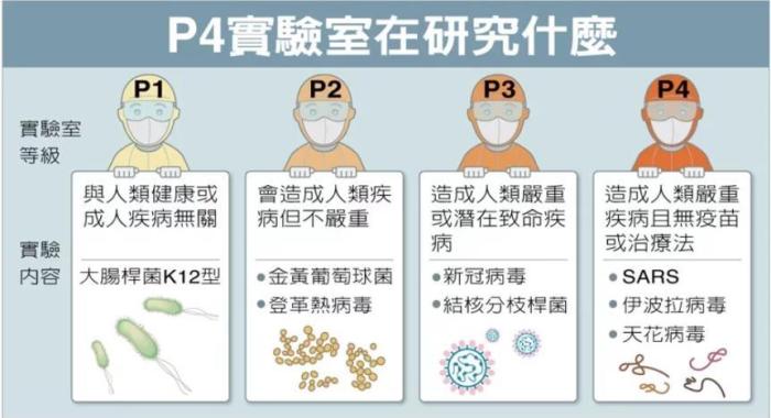 P4實(shí)驗(yàn)室在研究什么。臺灣聯(lián)合新聞網(wǎng)資料圖