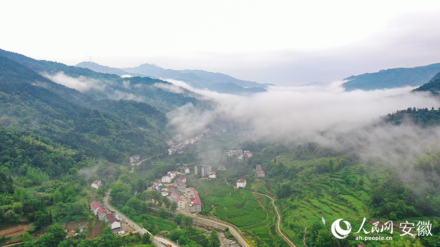 雨后的金寨大灣村，云霧環(huán)繞，宛如一幅田園山水畫卷。人民網(wǎng) 張俊攝