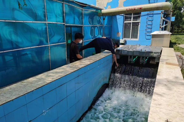 邯鄲市雞澤縣藍(lán)天污水處理廠員工正在出水口進(jìn)行水質(zhì)檢測(cè)。鄭佳欣攝