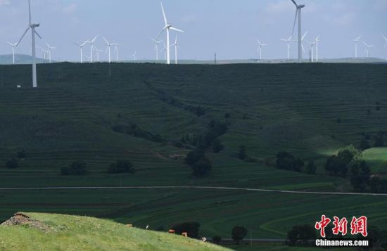 6月28日，河北張家口張北草原上大片風(fēng)力發(fā)電的“風(fēng)車”規(guī)模宏大。 中新社記者 楊艷敏 攝