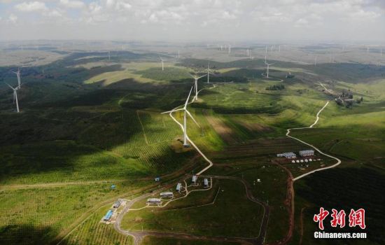 6月28日，河北張家口張北草原上大片風(fēng)力發(fā)電的“風(fēng)車”規(guī)模宏大。 中新社記者 楊艷敏 攝