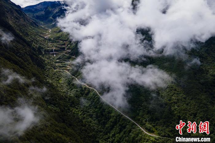 西藏山南勒布溝景區(qū)的盤山公路被云霧環(huán)繞?！〗w波 攝