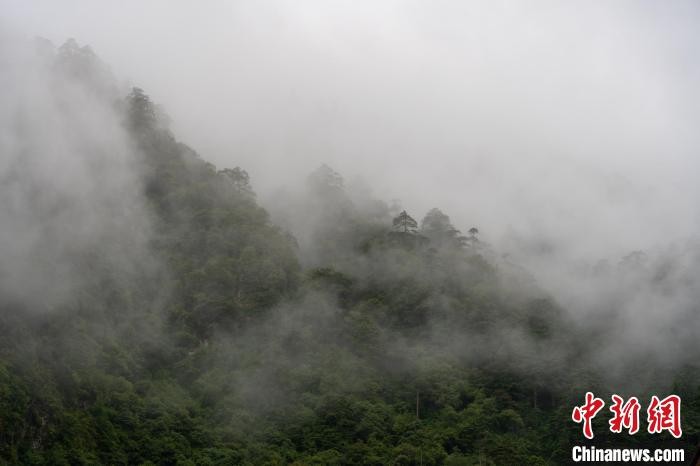 雨后勒布溝的云霧?！〗w波 攝