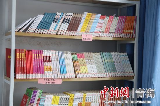 圖為“安康圖書館”項目為日月鄉(xiāng)哈城中心小學配置的圖書。張海雯攝