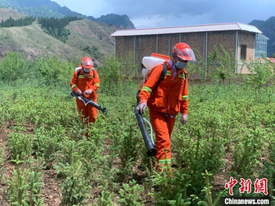 圖為觀摩會現(xiàn)場背負式電動噴霧演練。　李江寧　攝 　　