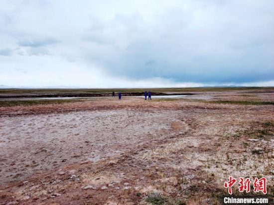 圖為救援力量在青海省西部搜救失聯(lián)的江蘇南京某大學(xué)女生黃某某。海西州藍(lán)天應(yīng)急救援中心 供圖