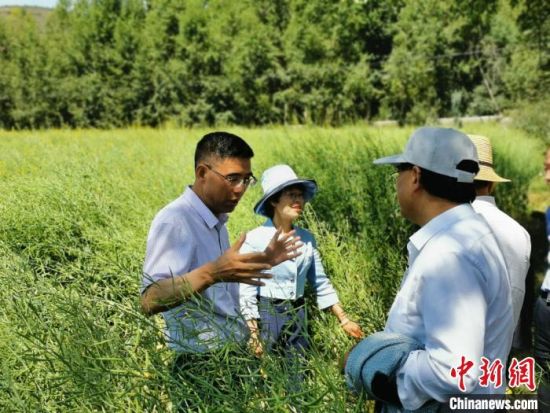 圖為九三學(xué)社青海省委主委杜德志(左一)在基層調(diào)研。受訪者供圖