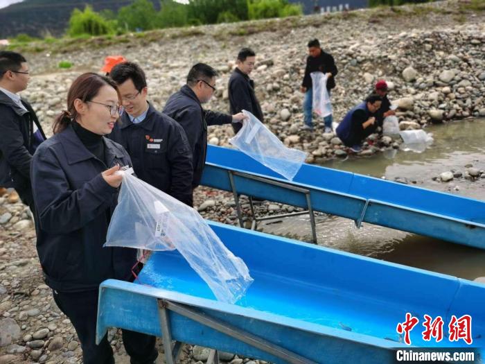 尼洋河珍稀魚(yú)類物種保護(hù)彰顯魚(yú)“水”深情