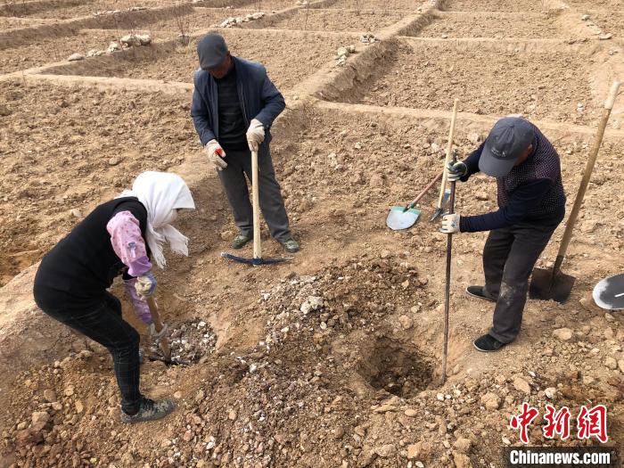 資料圖為建行青海省分行綠化區(qū)施工隊(duì)隊(duì)員處理亂石。　建行青海省分行供圖