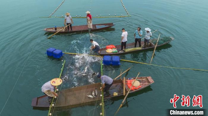 捕魚現(xiàn)場。　主辦方供圖