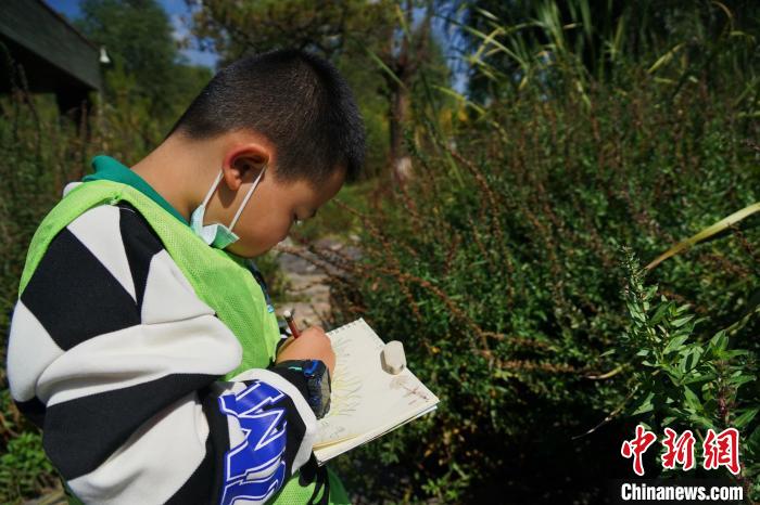 圖為小朋友在青海西寧湟水國(guó)家濕地公園內(nèi)認(rèn)識(shí)植物并進(jìn)行繪畫?！●R銘言 攝