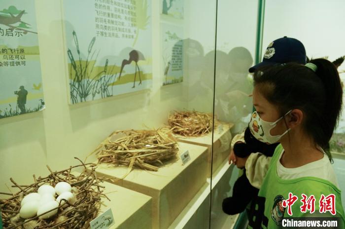 圖為小朋友在青海西寧湟水國(guó)家濕地公園科普館內(nèi)參觀學(xué)習(xí)?！●R銘言 攝