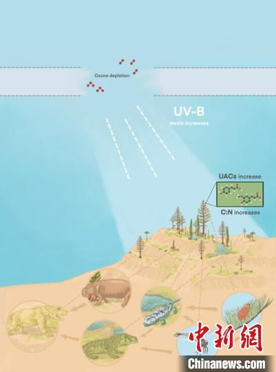 臭氧層破壞引起的紫外線輻射增加對陸地食物鏈的影響?！∧瞎潘?供圖