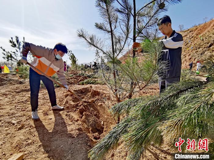 圖為西寧市城東區(qū)義務(wù)植樹活動(dòng)現(xiàn)場(chǎng)?！?zhí)砀?攝