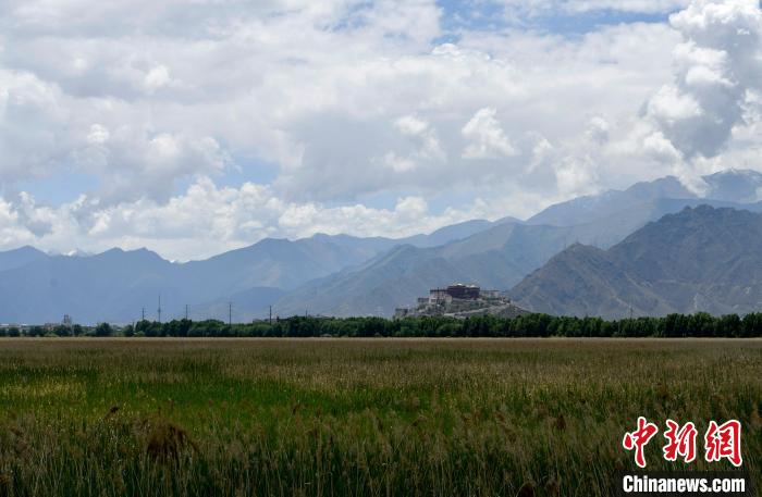 圖為拉薩拉魯濕地。　李林 攝