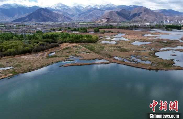 圖為拉薩拉魯濕地。(無人機照片) 李林 攝