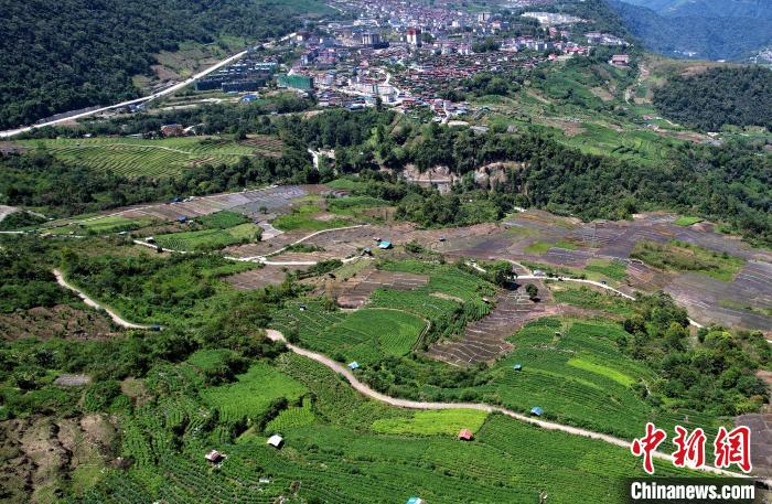 圖為西藏林芝市墨脫縣城附近的茶田。(無(wú)人機(jī)照片) 李林 攝