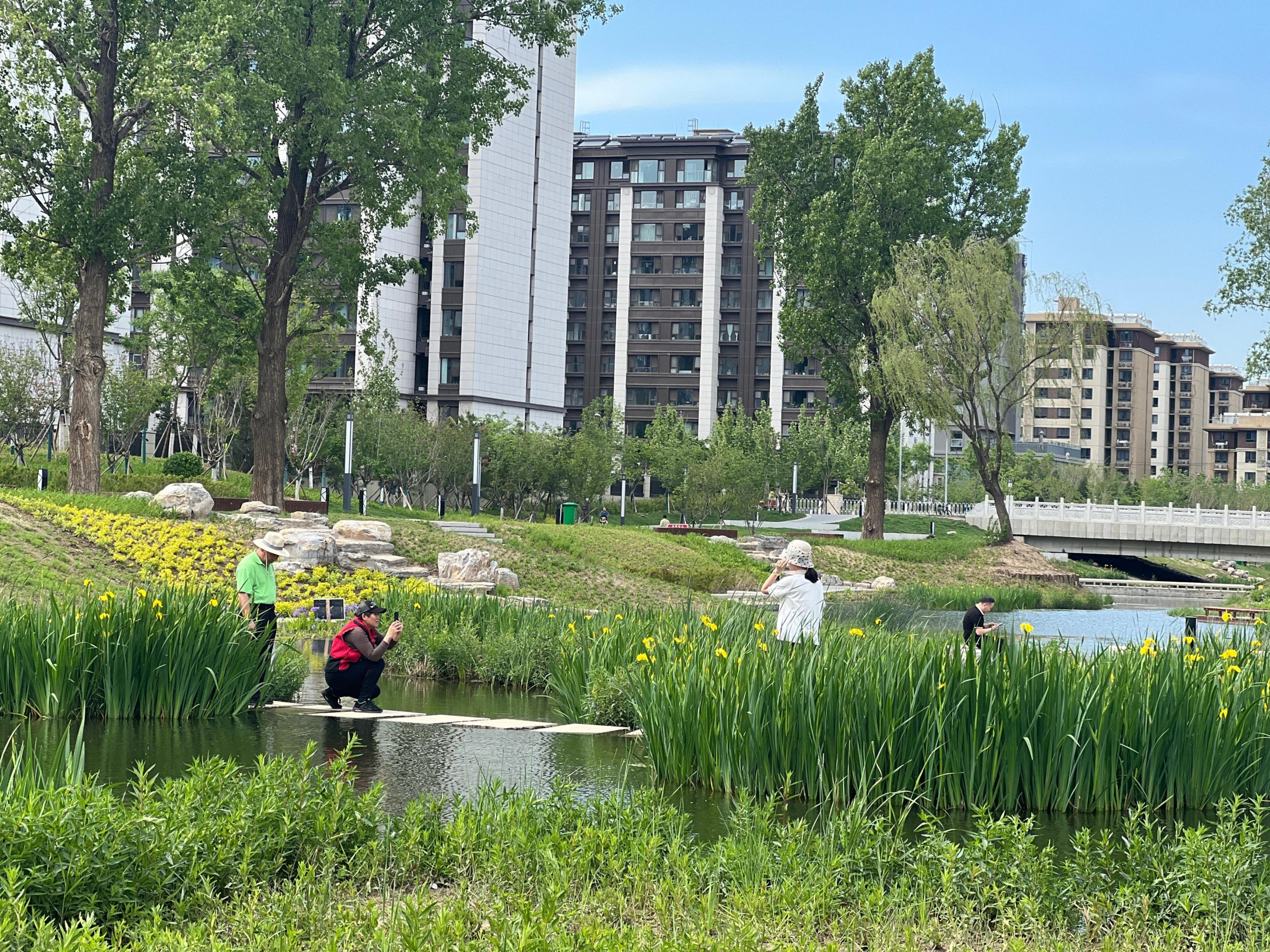 五一渠生態(tài)濱河公園內(nèi)，市民正在拍照留念。人民網(wǎng) 歐陽易佳攝