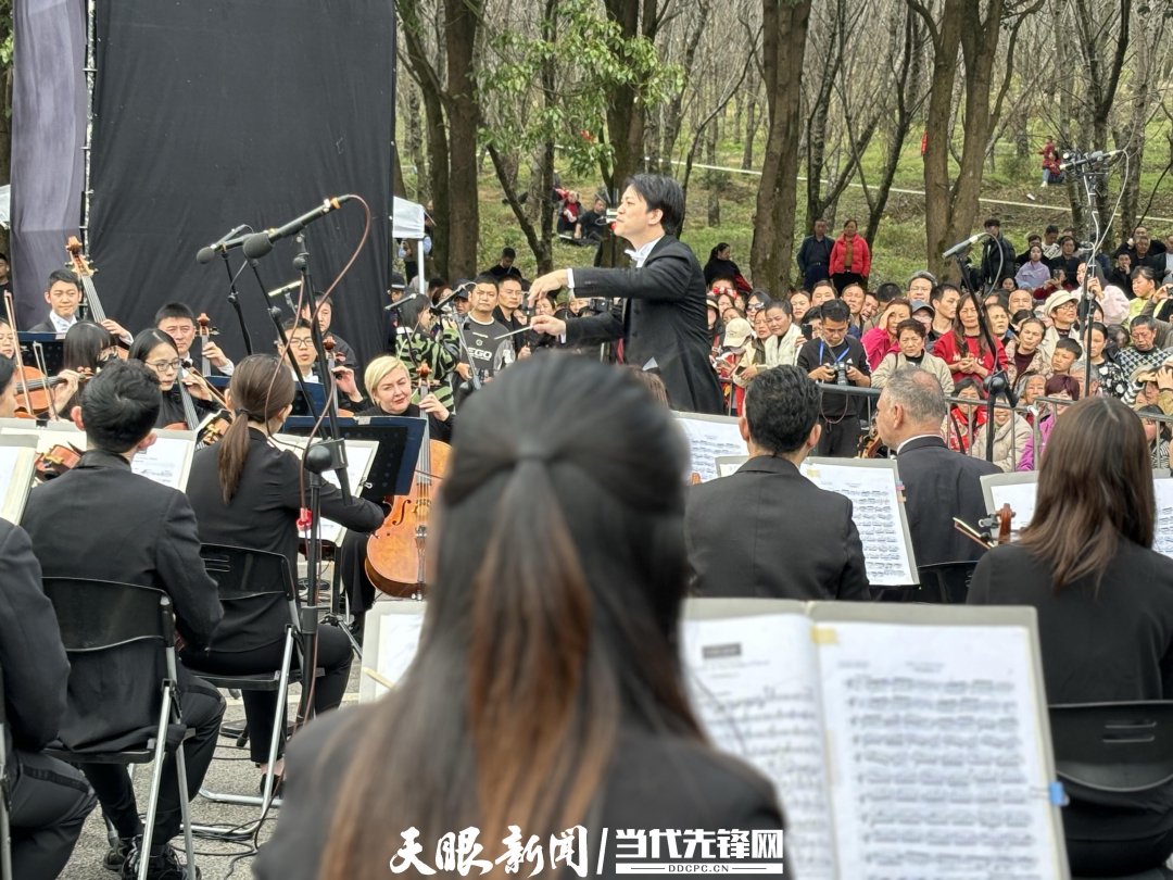 貴陽(yáng)路邊音樂(lè)會(huì)·貴安櫻花園專場(chǎng)交響樂(lè)現(xiàn)場(chǎng)。丁亞 文丹 攝