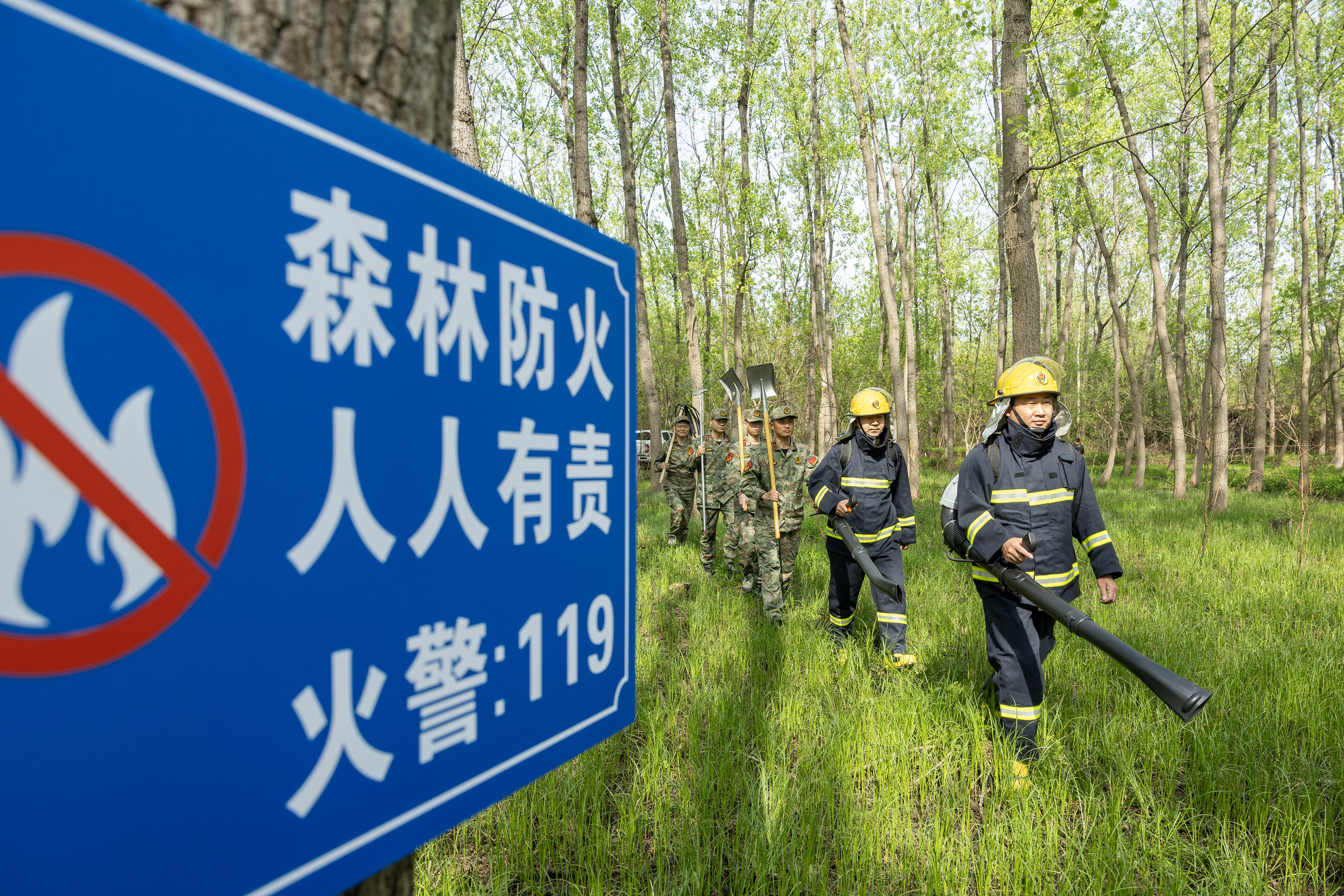 2024年4月9日，合肥市大房郢水庫水源保護地廬陽經(jīng)濟開發(fā)區(qū)段，基干民兵正在林間巡查火災隱患。