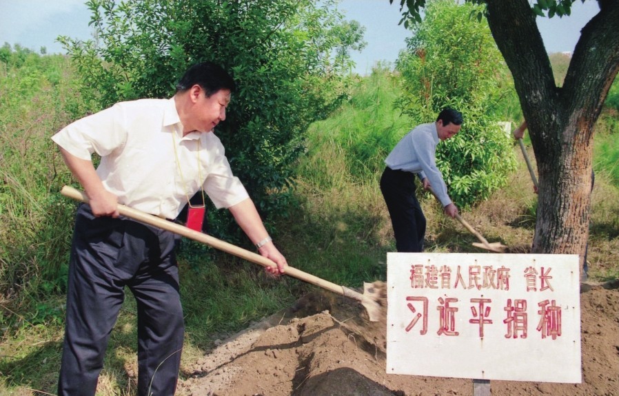 2001年10月，習近平在龍巖市長汀縣調(diào)研水土流失治理工作，在河田世紀生態(tài)園為樹培土。圖源：《習近平在福建（下）》