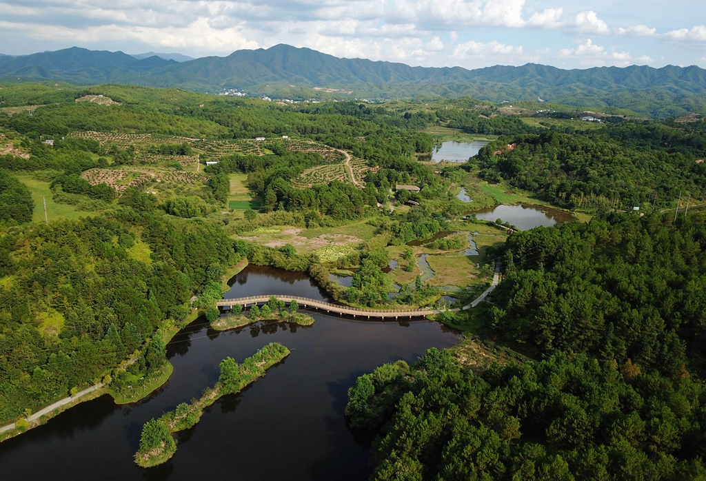 福建省龍巖市長汀縣的長汀汀江國家濕地公園景色（2020年7月28日攝，無人機照片）。新華社記者 魏培全 攝