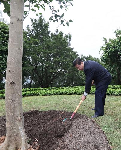 2012年12月7日至11日，習(xí)近平在廣東省考察工作。這是8日上午，習(xí)近平在深圳蓮花山公園種下一棵高山榕樹。新華社記者 蘭紅光 攝