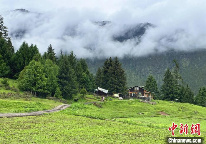 6月10日，魯朗小鎮(zhèn)高山牧場景區(qū)風光?！∪轿木?攝