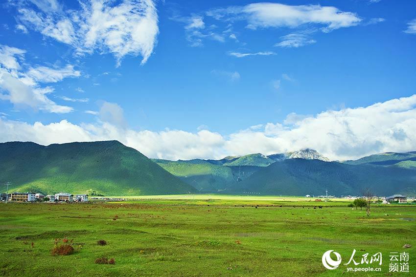 納帕海濕地風景。呂昊辰攝