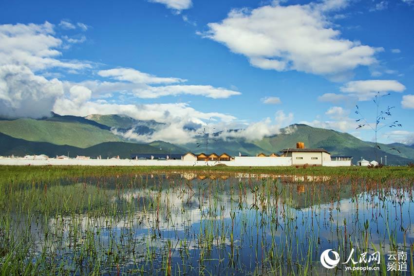 納帕海濕地風景。呂昊辰攝