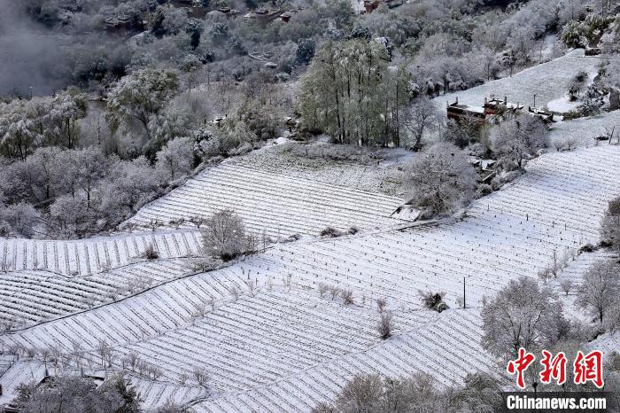 雪后的高山田間如畫?！±钣腊?攝