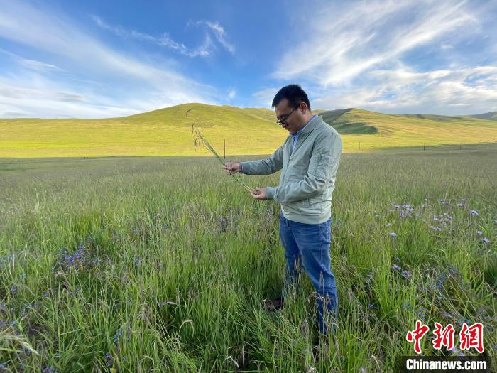 青海達(dá)日“援青縣長(zhǎng)”：雪域高原生態(tài)、民生“并蒂花開(kāi)”