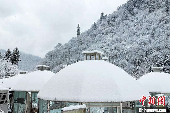 大熊貓國家公園王朗片區(qū)春雪如畫，宛若仙境?！×_春平 攝