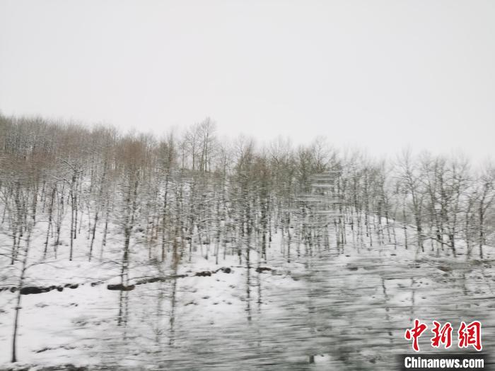 圖為青海青沙山區(qū)域被降雪覆蓋。　張?zhí)砀?攝