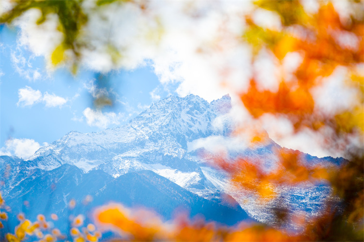 彩林遠處的冰山。黑水縣文廣旅局供圖