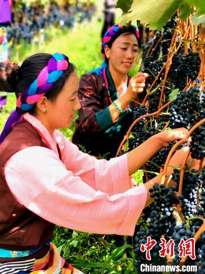 西藏昌都迎來70年巨大變遷