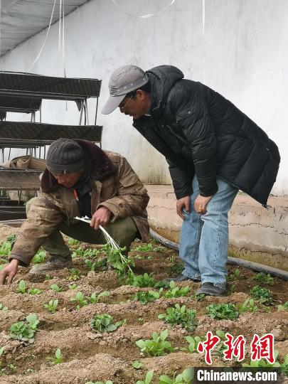 圖為尼瑪扎西(右)與西藏農(nóng)民聊天(資料圖)。西藏農(nóng)科院 供圖