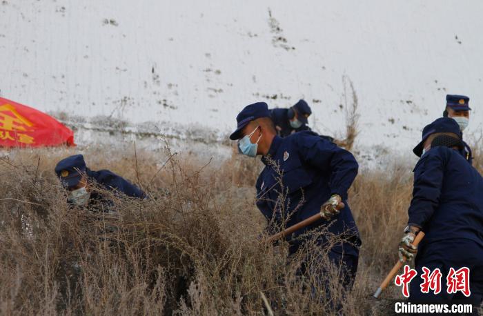 圖為200余名消防員在布達(dá)拉宮后山集合除草?！≮w朗 攝