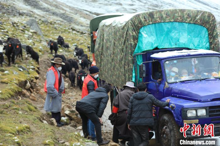 圖為牧民們查看車輛準備出發(fā)?！÷蹇?攝