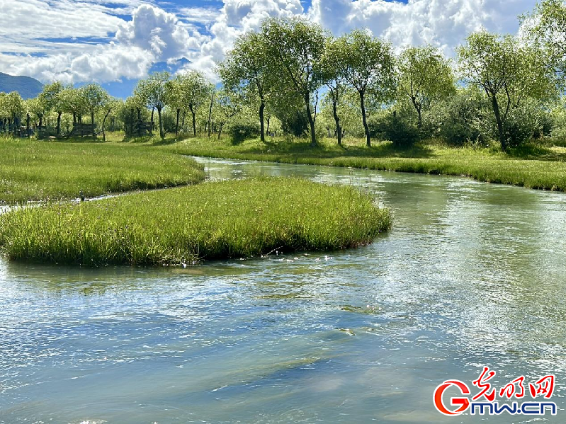 我們的家園丨【組圖】 綠水青山入畫(huà)，“金山銀山”筑起