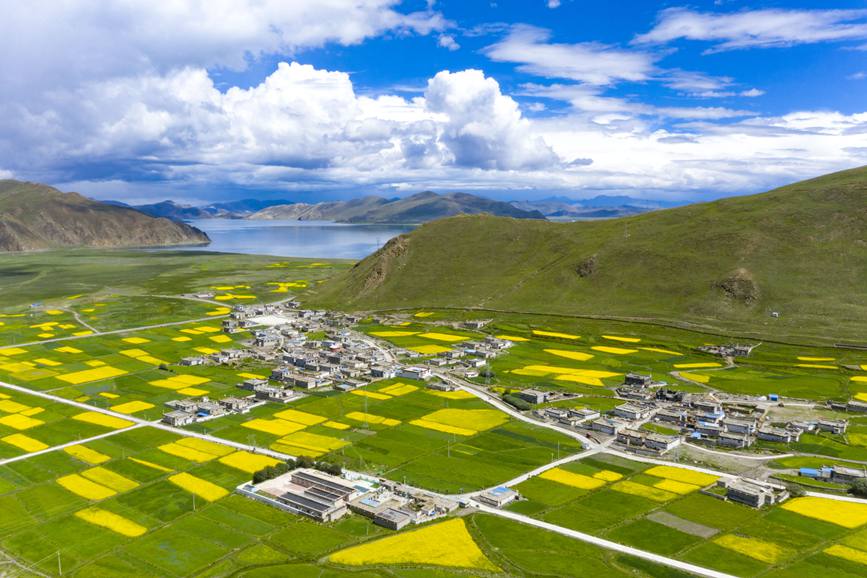 航拍道布龍村，依山傍水，阡陌縱橫。