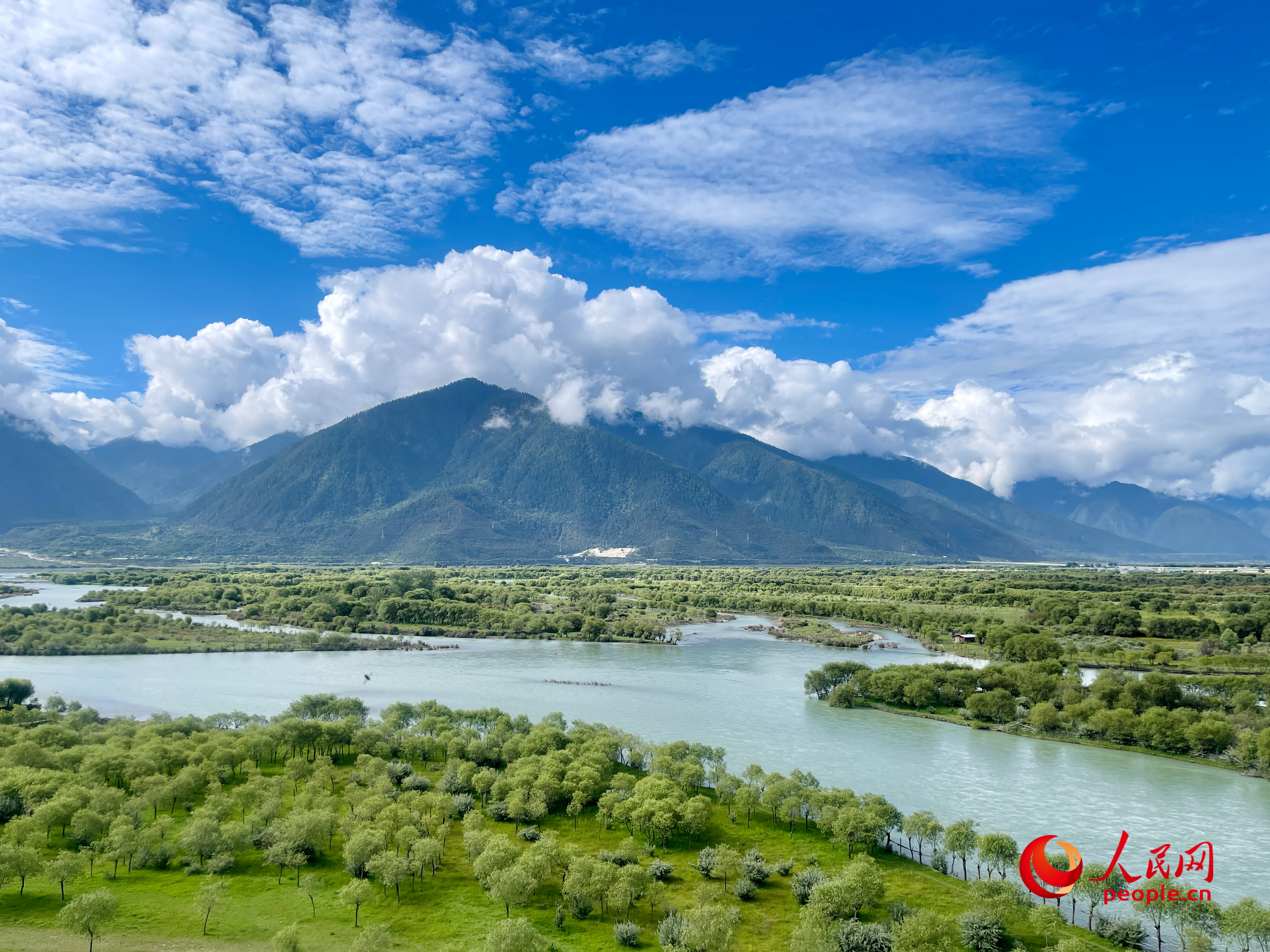 夏日的雅尼國家濕地公園生機(jī)盎然，如詩如畫。人民網(wǎng) 周靜圓攝