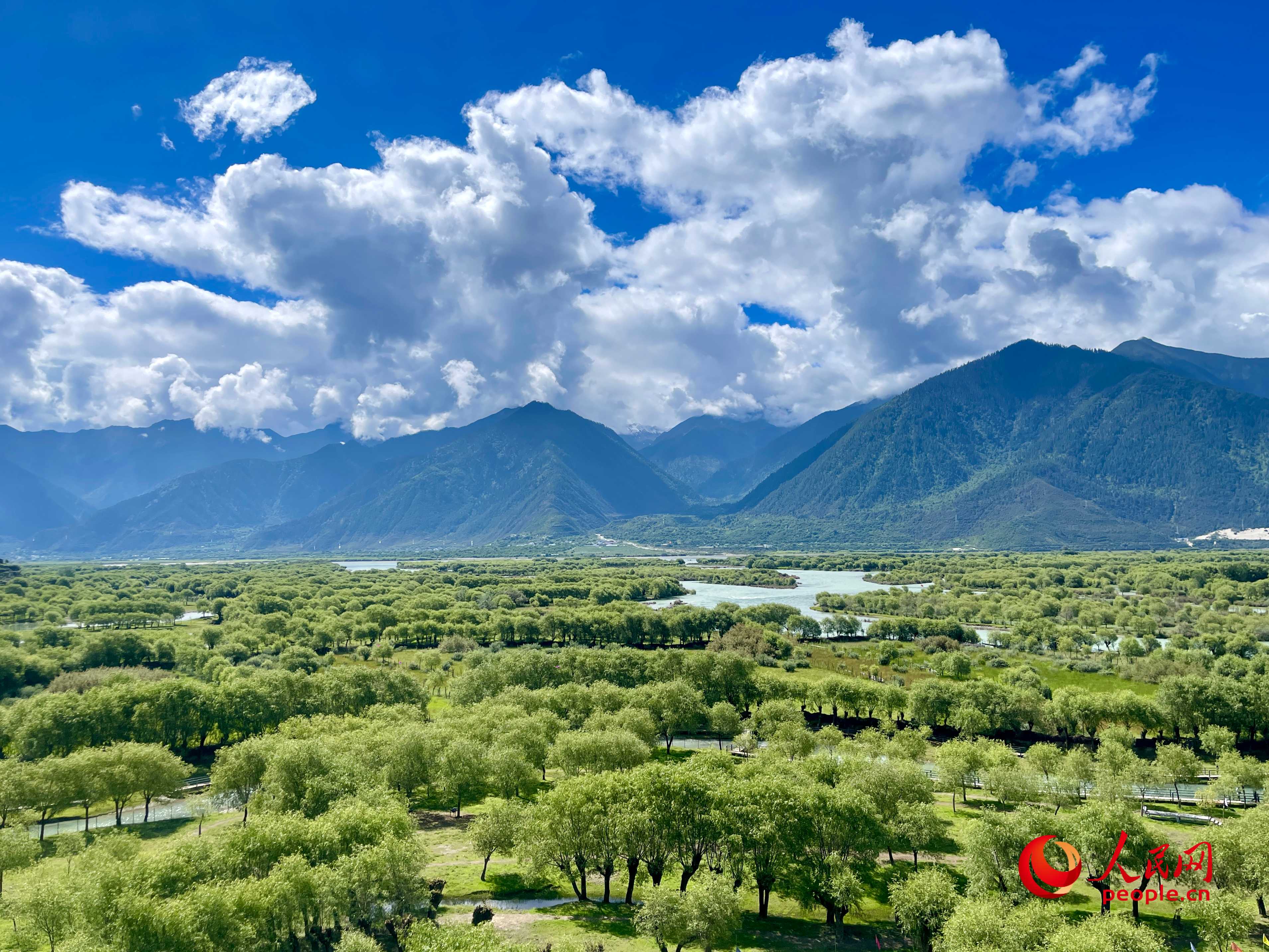 夏日的雅尼國家濕地公園生機盎然，如詩如畫。人民網(wǎng) 周靜圓攝