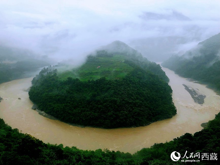 雅魯藏布江大峽谷蛇形拐彎處，山坡上種滿茶樹。