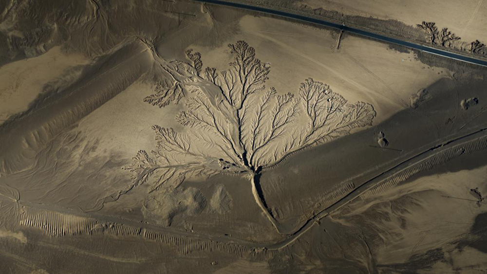 無(wú)人機(jī)視角下的西藏阿里地區(qū)改則縣“大地之樹”景觀。尼瑪多吉攝