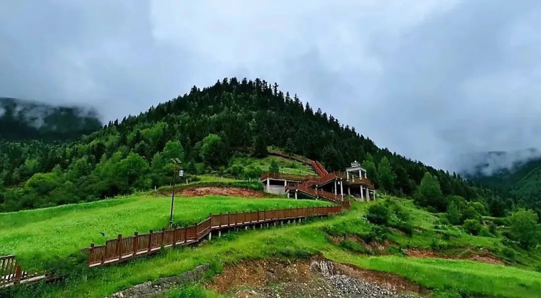 一條木棧道開(kāi)出“幸福路”