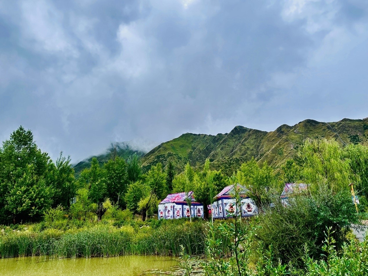 郁郁蔥蔥的南山公園。人民網(wǎng)記者 益西康珠攝